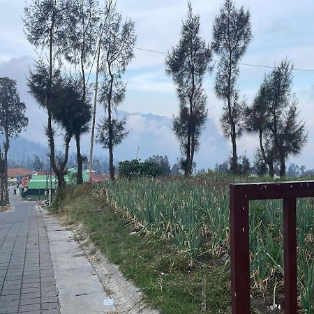 Bromo Semesta Guesthouse Probolinggo Buitenkant foto