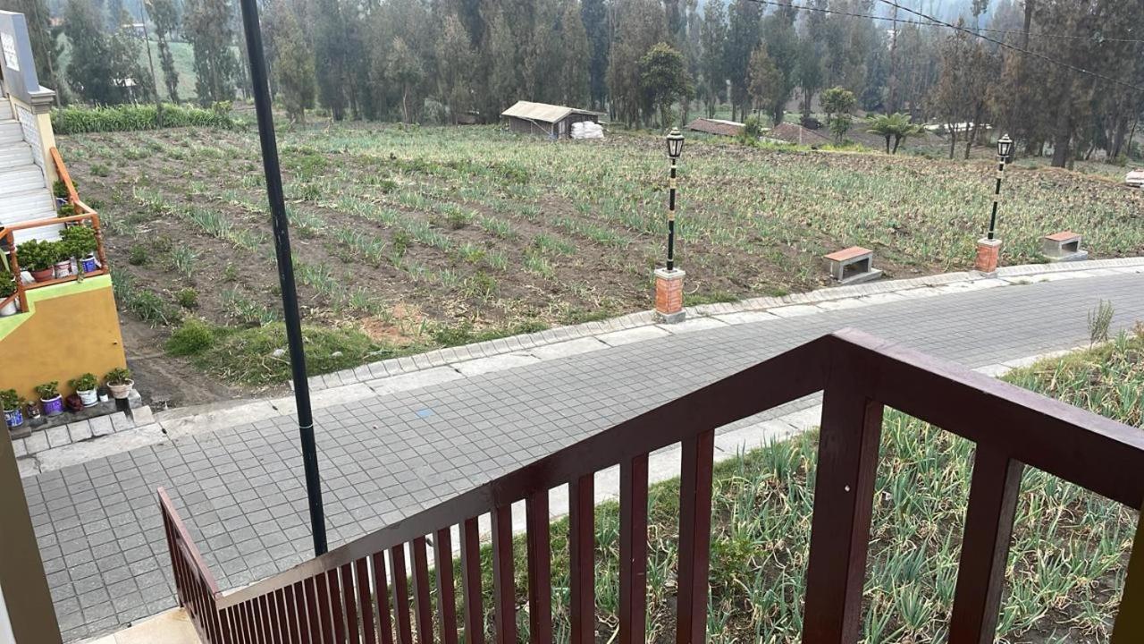 Bromo Semesta Guesthouse Probolinggo Buitenkant foto